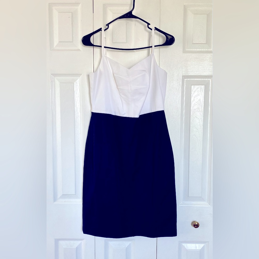 Banana Republic color block dress